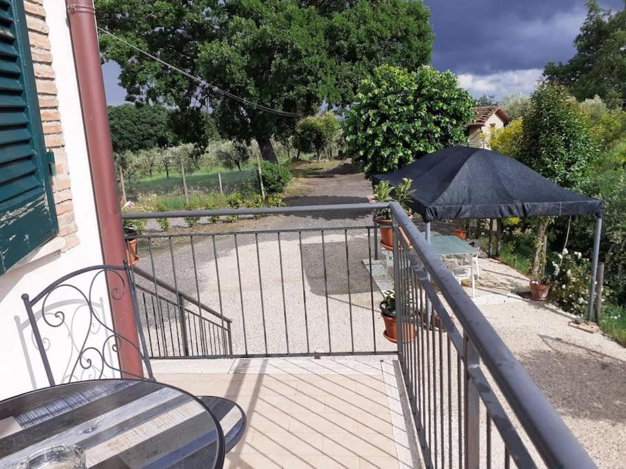 Apartment Costa Del Sole 42
